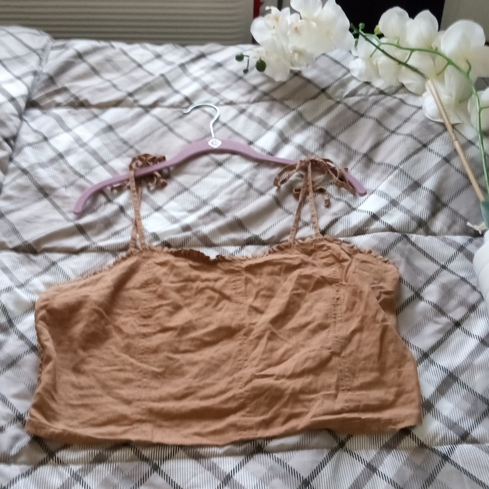 Aerie Brown Crop Top